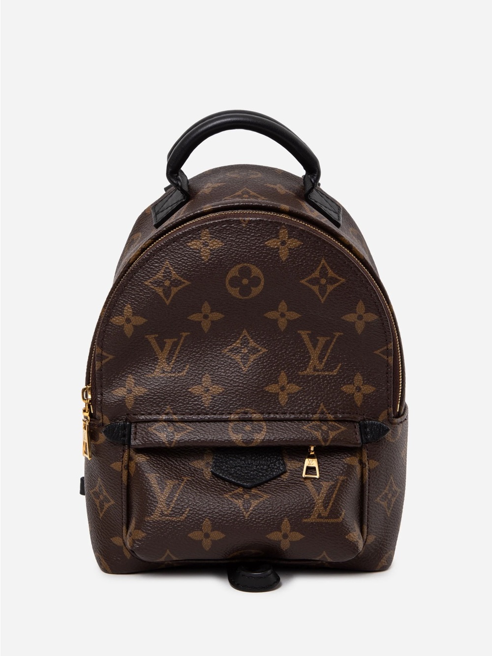 Louis Vuitton 2022 Monogram Palm Springs Mini Backpack